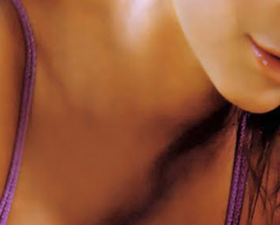 Adult Industry Network